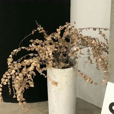 九台福瑞交流群